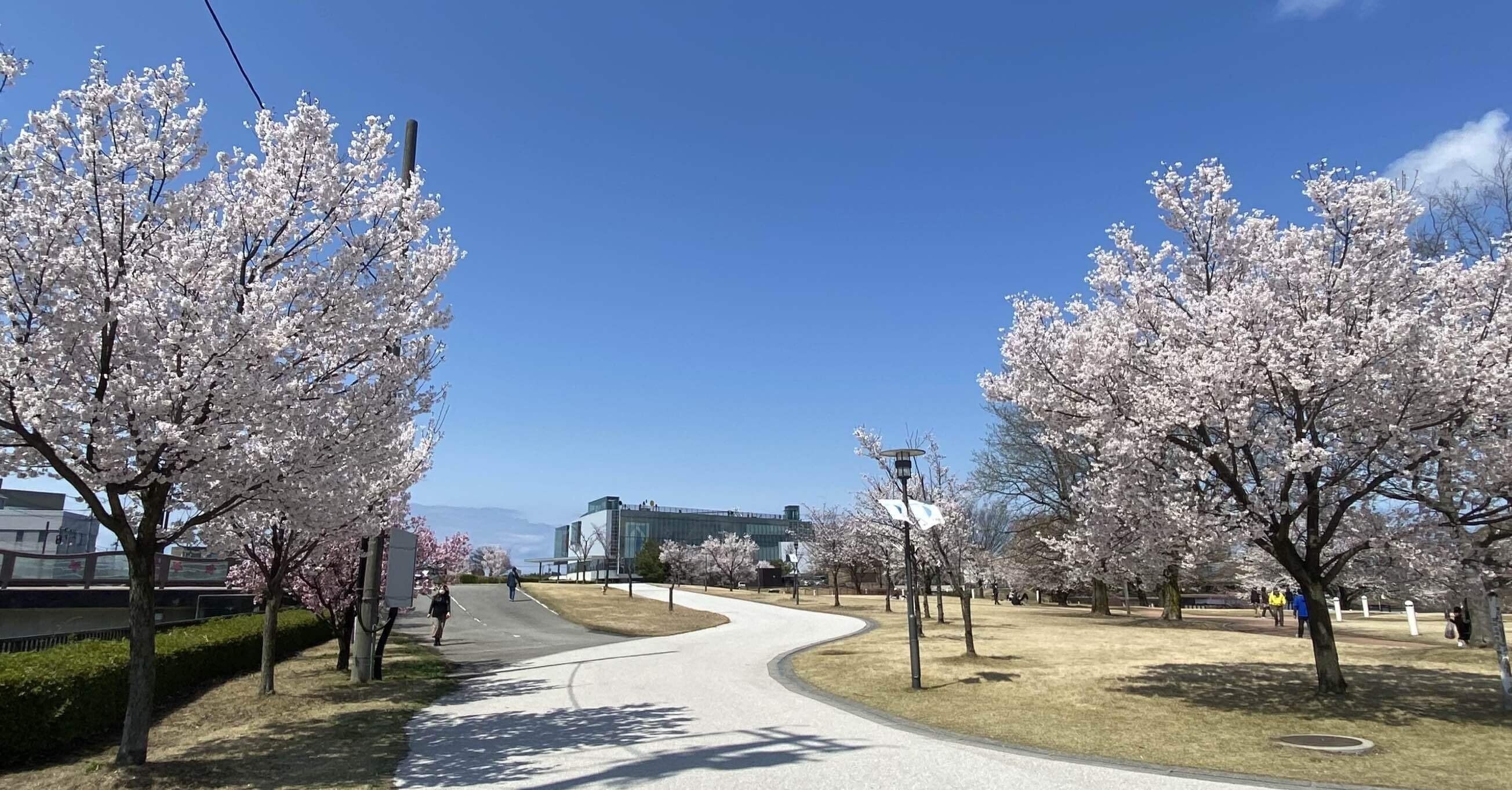 虚像の時代 ---東野芳明美術批評選 トーノのへんしんへのノート