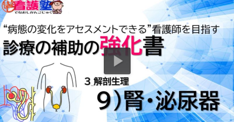 ブランド通販サイト 5-1 (3)】泌尿器系 - 腎臓 国試過去問解説｜かずひろ先生（黒澤 その他