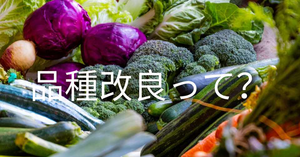 品種改良って より良い作物を作ろう 研究とは Fn タメになるを配信 Note
