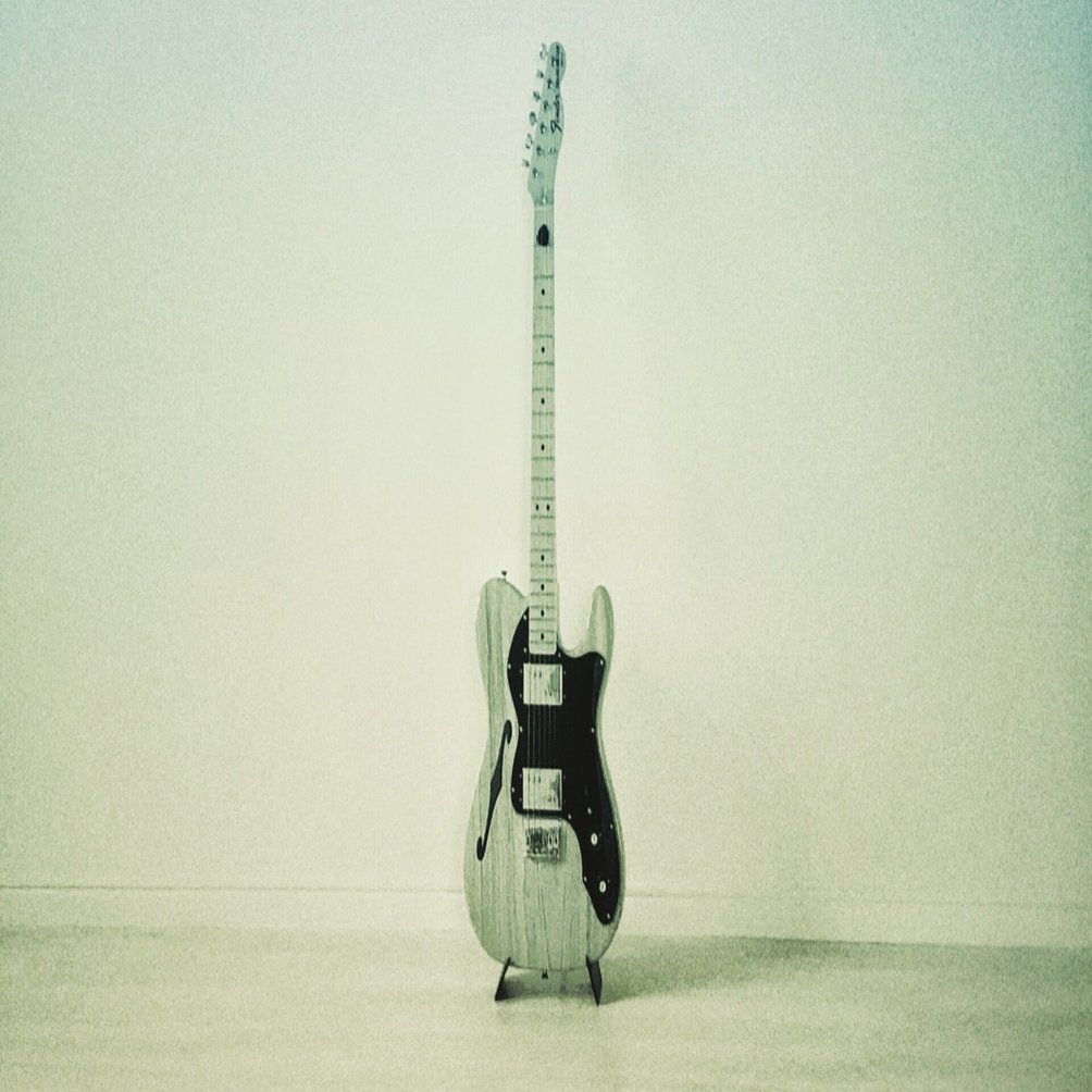 Fender MIJ Telecaster シンライン Fender MIJ Telecaster Thinlineを手放した｜カワマタカズヤ