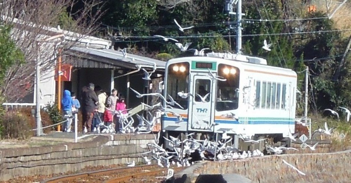 カモメが集まる奥浜名湖の駅。｜「からんだ」の中の人