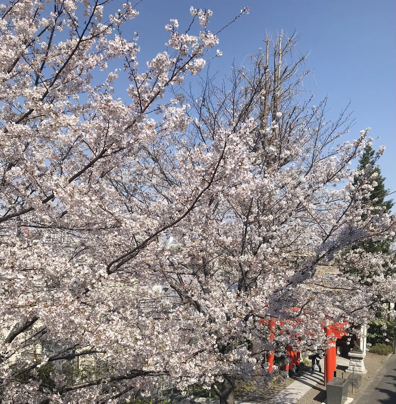 とっさにナニカをするとき、等身大の自分が現れる。 とっさの判断が迫られる場面は、大抵忘れたころにやってくる。 準備が出来ていないことがほとんど ...