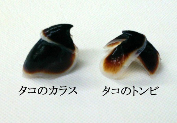 第3回 カラスとトンビは鳥だけ 翆野 大地 Note