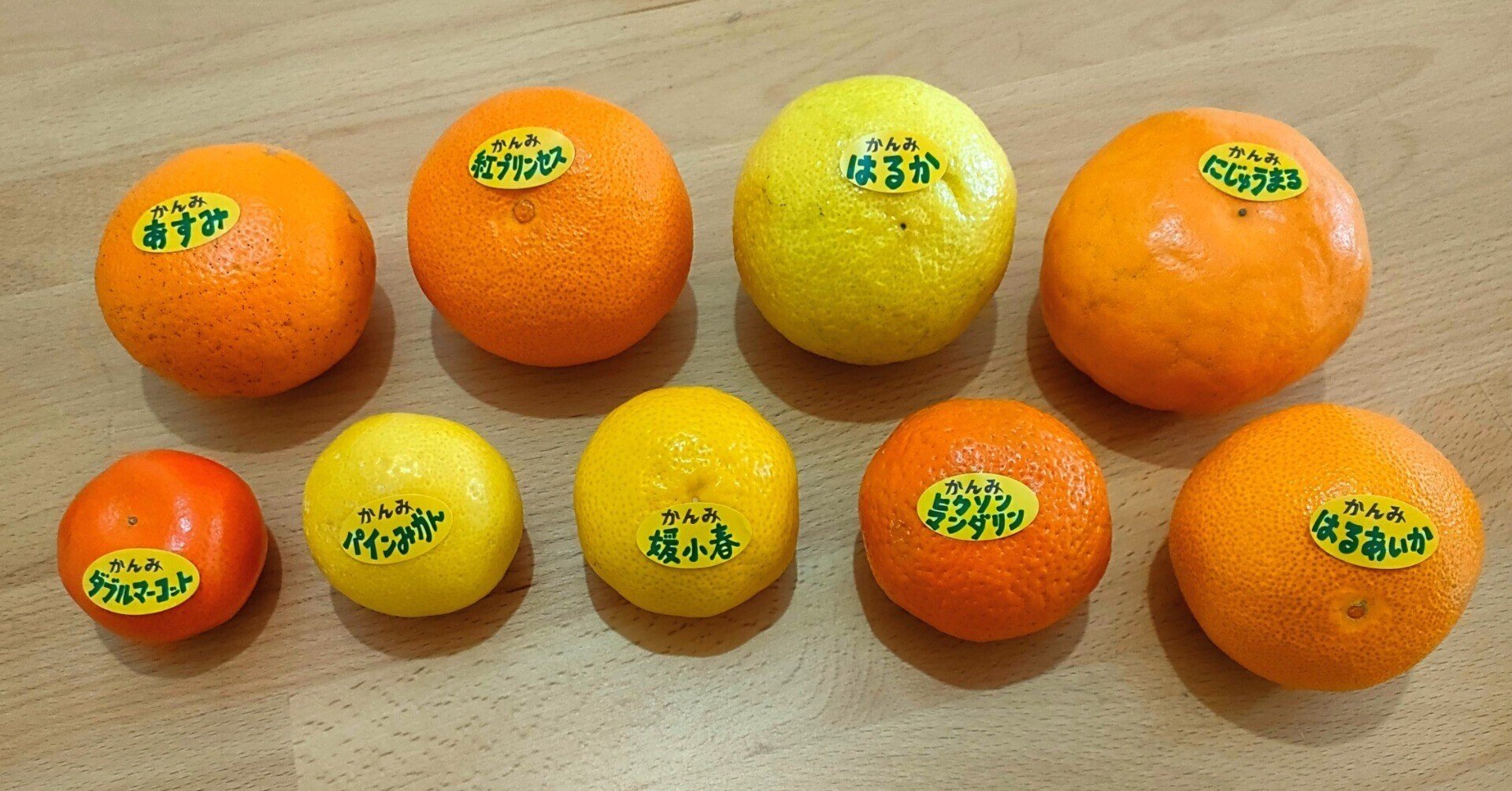 パトリックロジェ オレンジコンフィ オランジェット 270ｇ パトリックロジェ Patrick ROGER オランジェット 270g パトリック