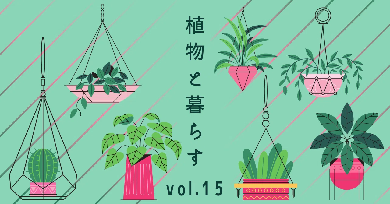観葉植物、育て方をAIに尋ねるのはちょっと待ってーその①「葉水＋肥料