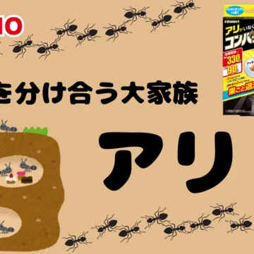 KINCHOがいちゅう豆知識 - 2025-07｜KINCHO公式note 大日本除虫菊株式