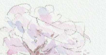 桜吹雪」の人気タグ記事一覧｜note ――つくる、つながる、とどける。
