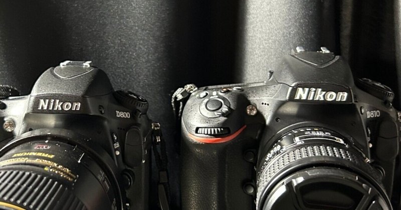 Nikon D850が買い時な話|NIKOちゃん Nikon D850が買い時な話|NIKOちゃん