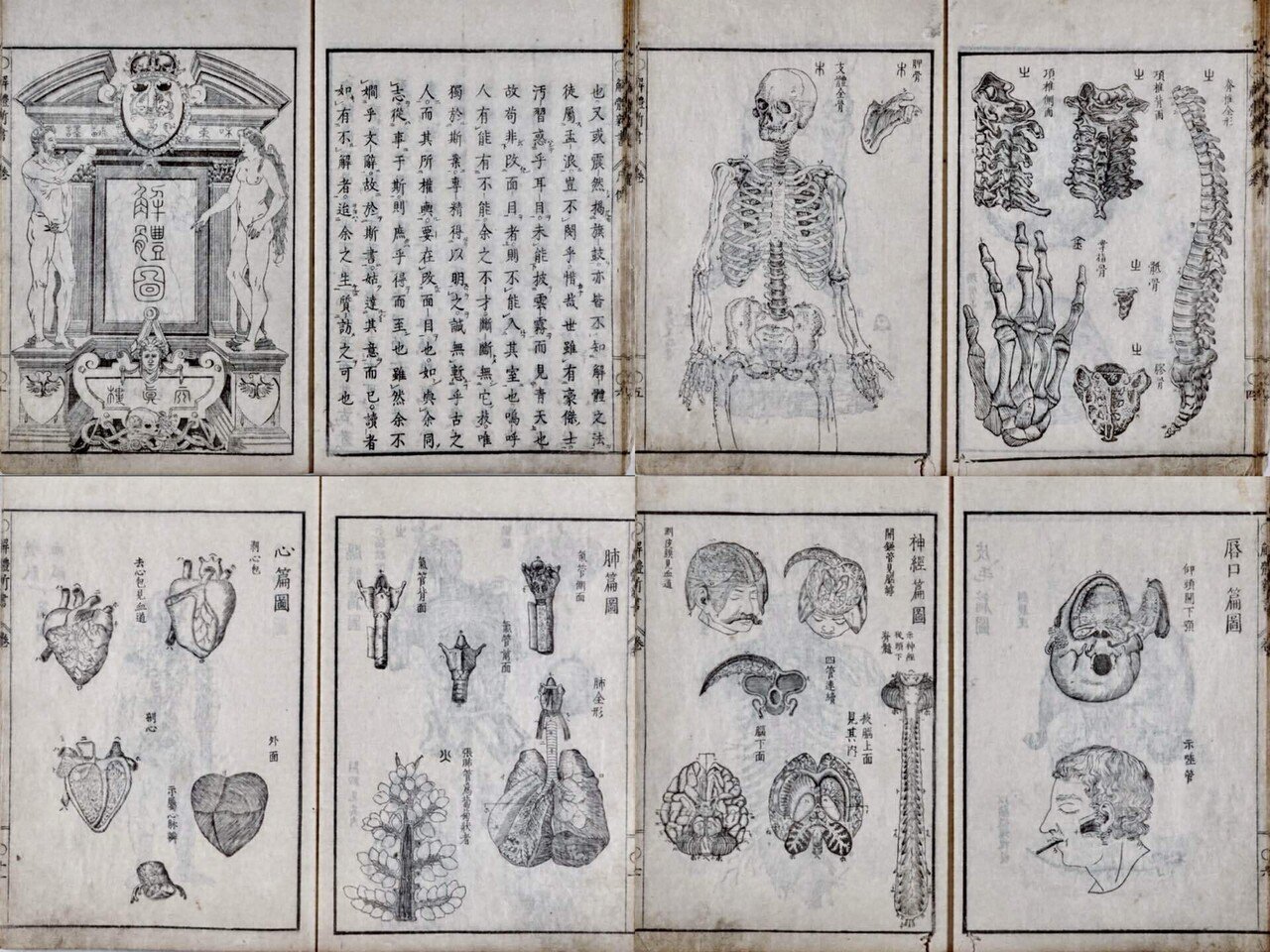 風のように生きた男── 平賀源内の軌跡②｜お江戸隠居猫 お玉のにゃん
