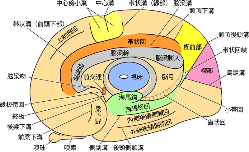 発達障害の素顔 2020年読了本 Penguing ぺんぎんぐ Note