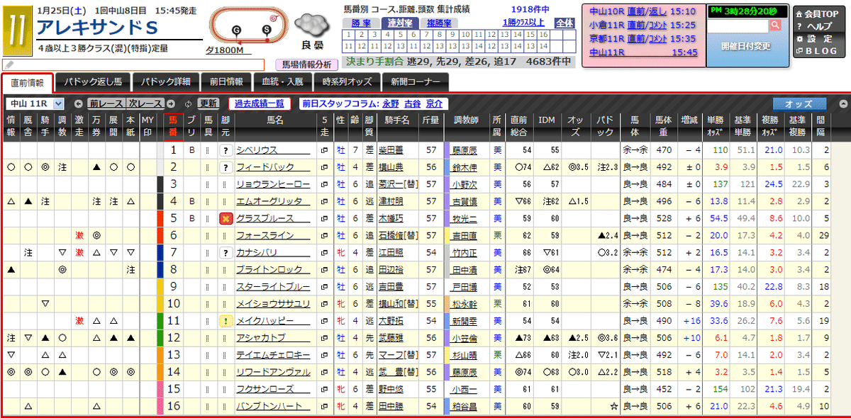 スクリーンショット (295)