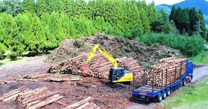 「分収増林事業の闇を斎藤知事が暴いて改革した」は誤り