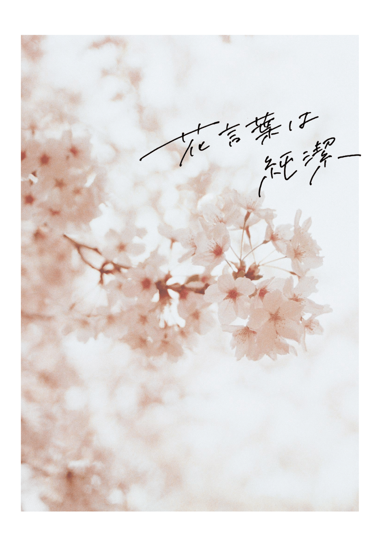 Wordでa5小説同人誌の手書き文字表紙をつくる きゃべこ Note Wordでa5小説同人誌の手書き文字表紙をつくる きゃべこ Note