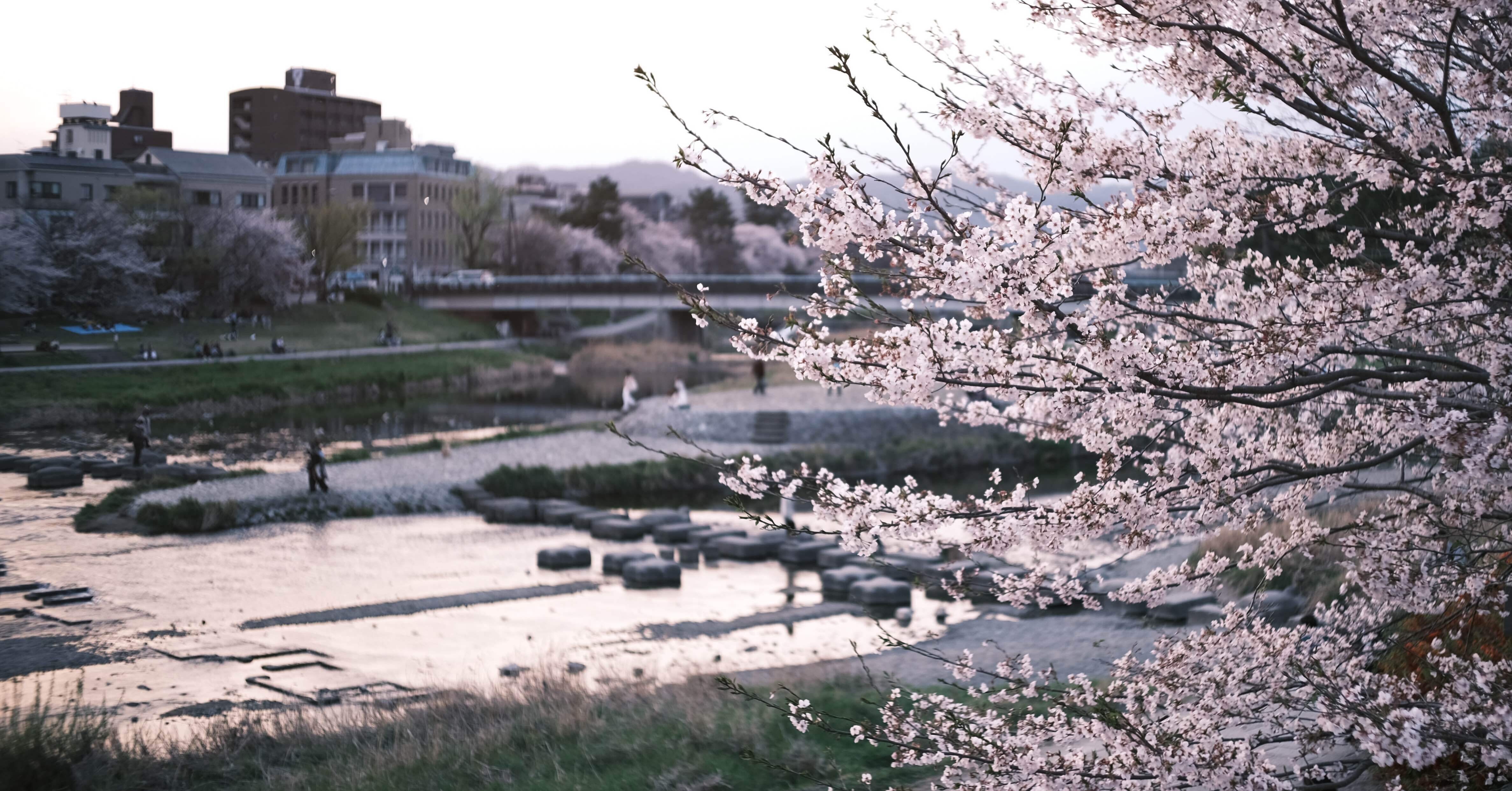 鴨川デルタを眺めて4年目の春、考えたこと｜陽菜