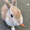 さちこ