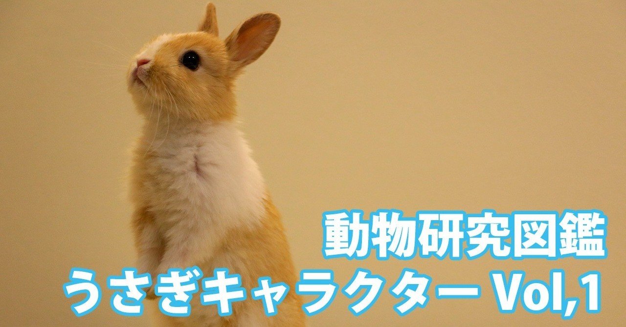動物研究図鑑 うさぎキャラクターvol 1 Note0037 アニマルイラストレーターryo Note