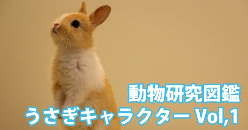 動物研究図鑑 うさぎキャラクターvol 1 Note0037 アニマルイラストレーターryo Note