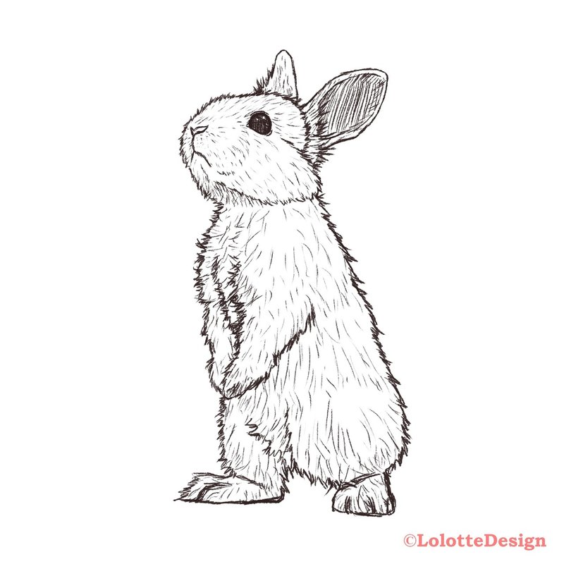 動物研究図鑑 うさぎキャラクターvol 1 Note0037 アニマルイラストレーターryo Note 動物研究図鑑 うさぎキャラクターvol 1 Note0037 アニマルイラストレーターryo Note
