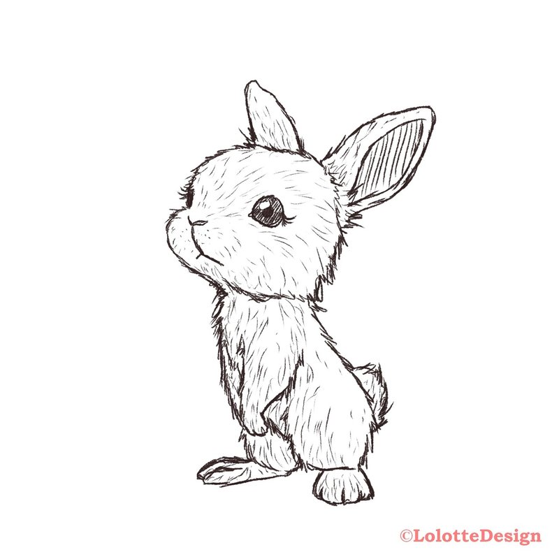 動物研究図鑑 うさぎキャラクターvol 1 Note0037 アニマルイラストレーターryo Note 動物研究図鑑 うさぎキャラクターvol 1 Note0037 アニマルイラストレーターryo Note