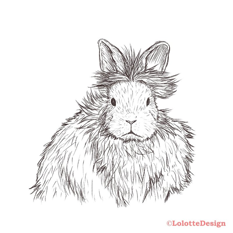 動物研究図鑑 うさぎキャラクターvol 1 Note0037 アニマルイラストレーターryo Note 動物研究図鑑 うさぎキャラクターvol 1 Note0037 アニマルイラストレーターryo Note