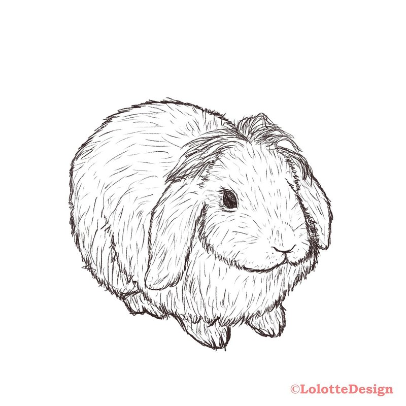 動物研究図鑑 うさぎキャラクターvol 1 Note0037 アニマルイラストレーターryo Note 動物研究図鑑 うさぎキャラクターvol 1 Note0037 アニマルイラストレーターryo Note