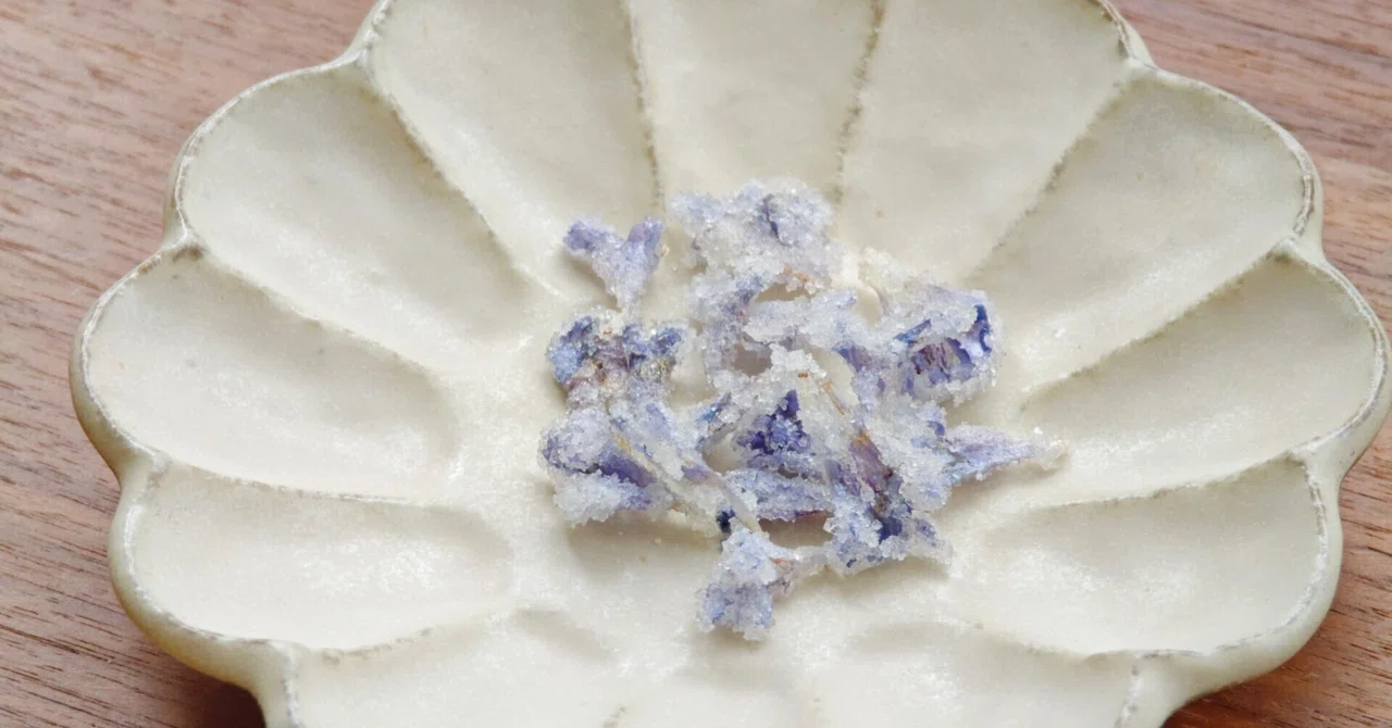 食べれる草 #15 「カキドオシの砂糖漬け」｜わたらい