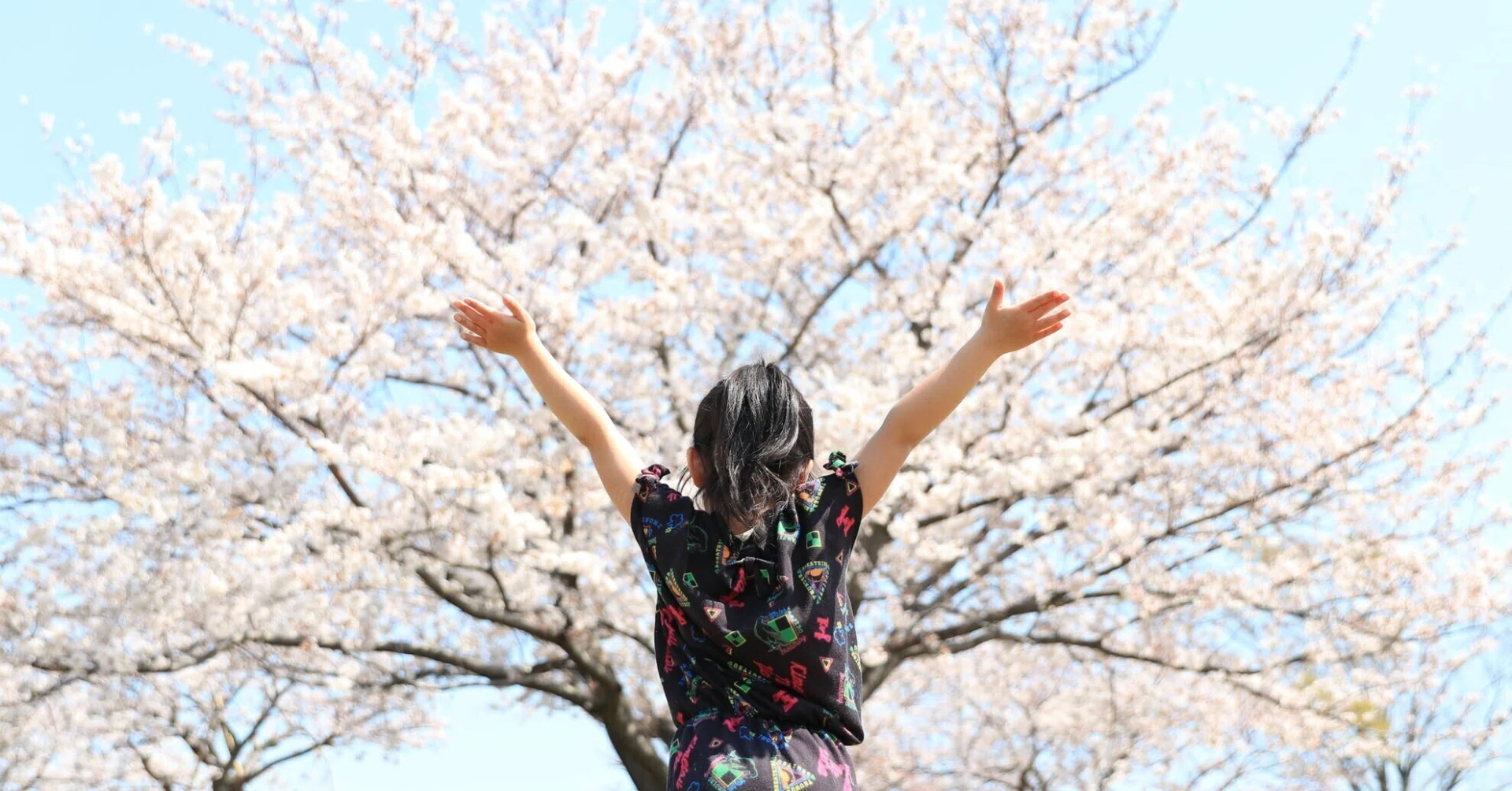 廻花 1st ALBUM『うまれるまえからきみをしってる』全曲レビュー ーー