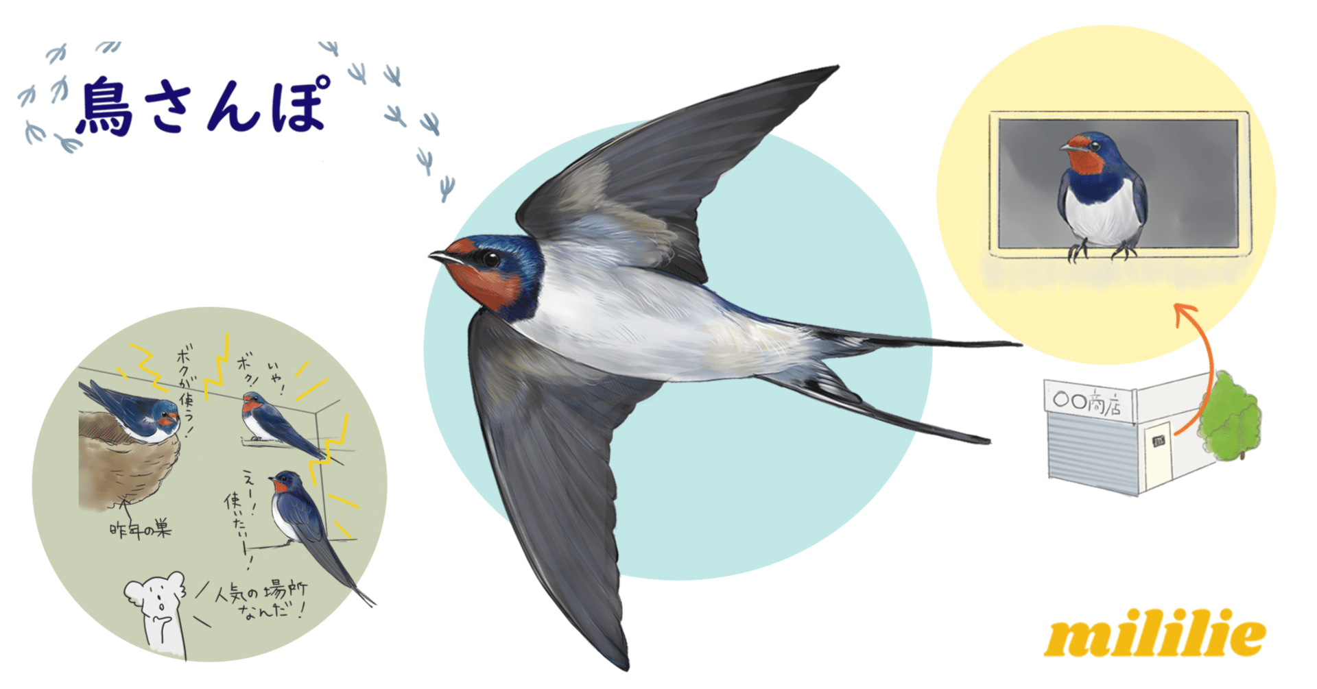 mililieのまなざしでツバメの魅力を再発見｜ブンイチ（文一総合出版）