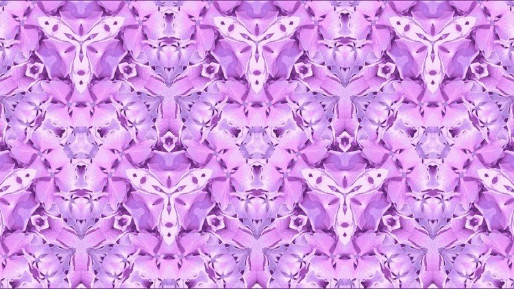 万華鏡×紫陽花
