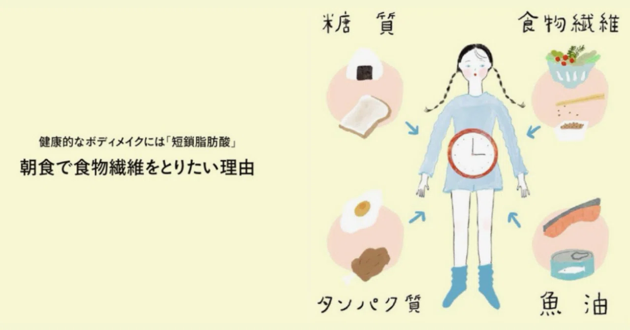 最新｜体内時計を整えるのは、朝食×食物繊維。健康的な体型維持につながる「短鎖脂肪酸」も増やしてくれる！