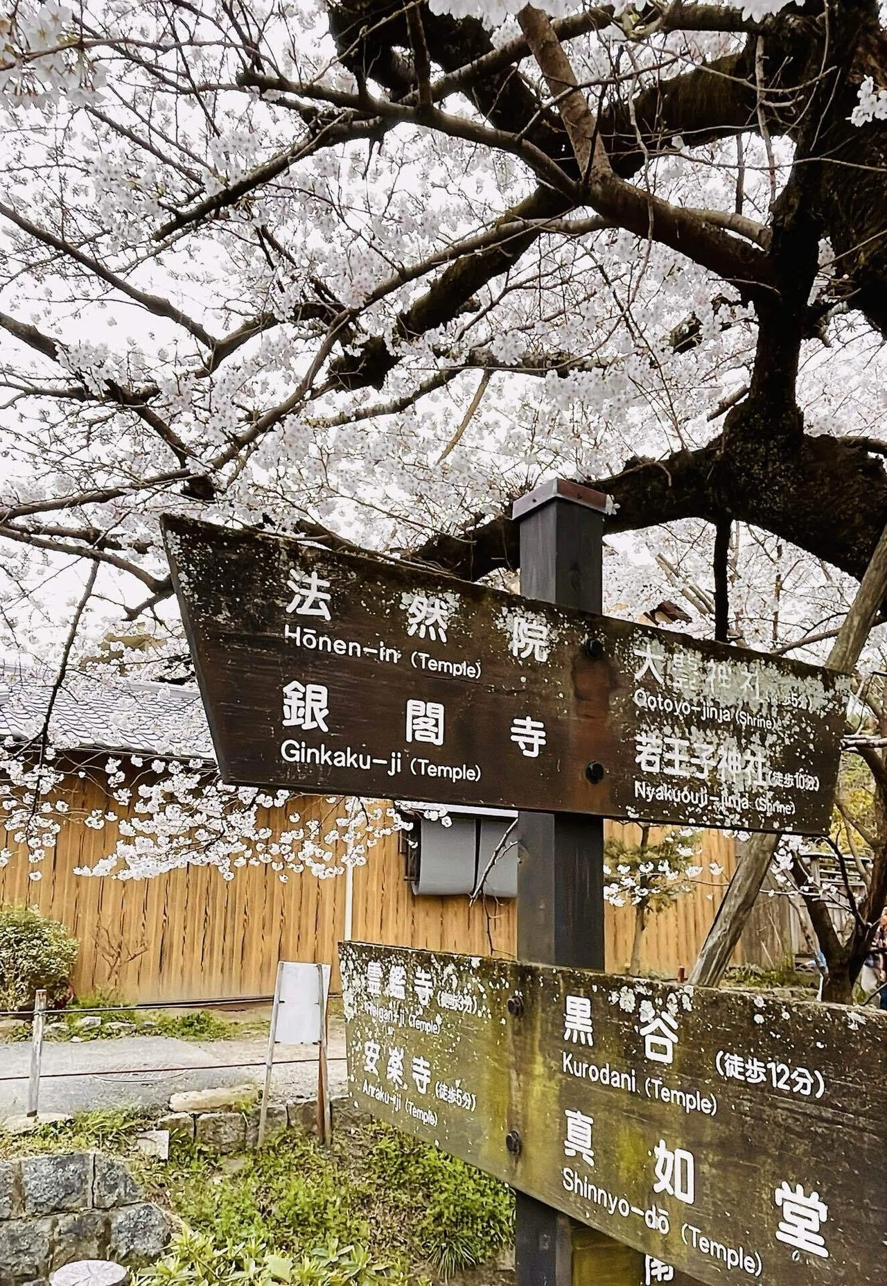 【中古】京の歳時百科(春編) 春の京都 〜 photo SAKURA 〜｜ちる