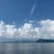 無名(むめい)