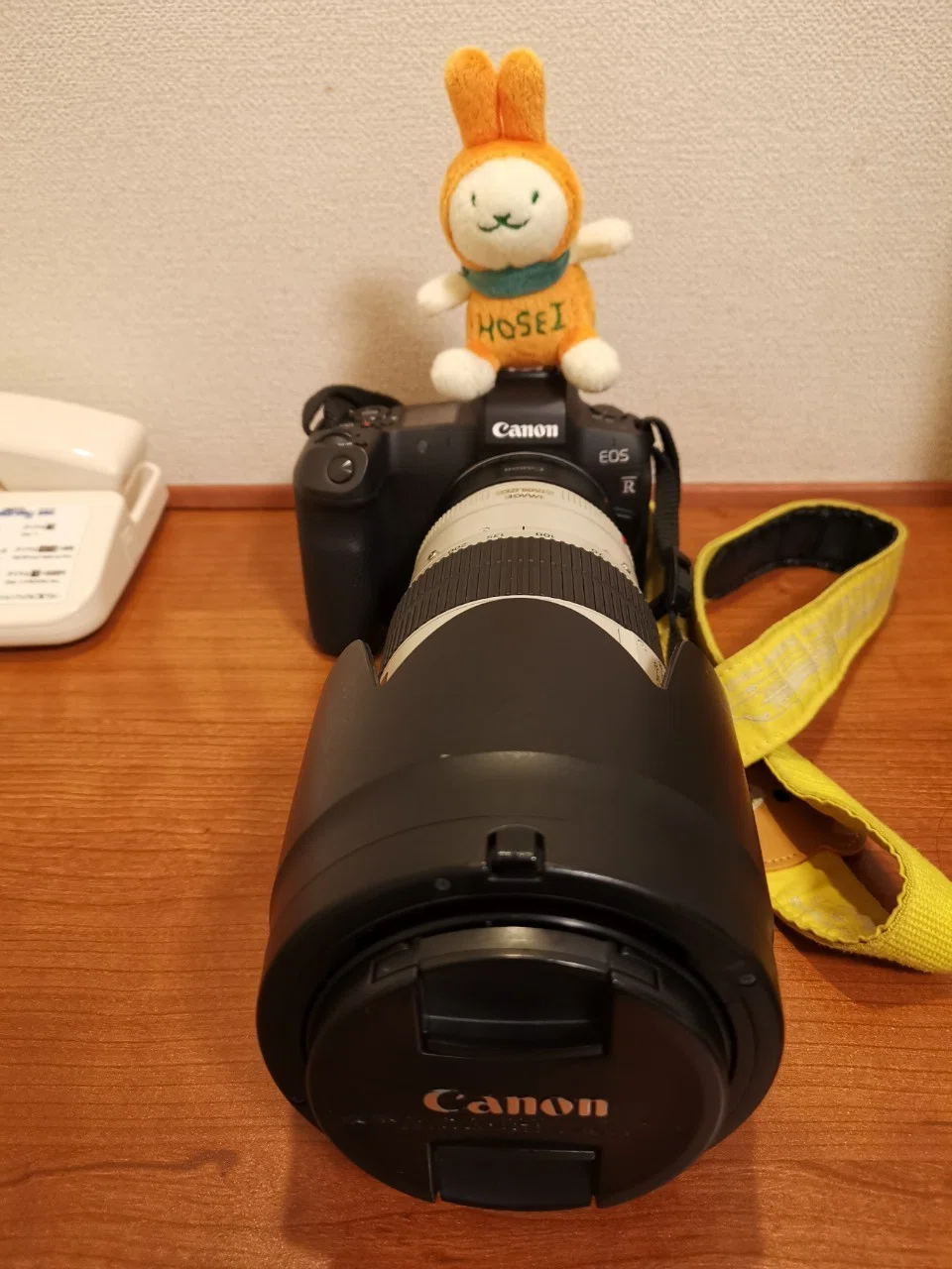 Canon「EOS R」で陸上競技を撮ってみた話⑤軽いかどうかじゃない。持ち 
