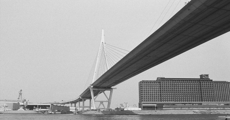 CineStill Df96 B&W MONOBATHを2ヶ月使ってみた感想|MOJA MOJA CineStill Df96 B&W MONOBATHを2ヶ月使ってみた感想|MOJA MOJA