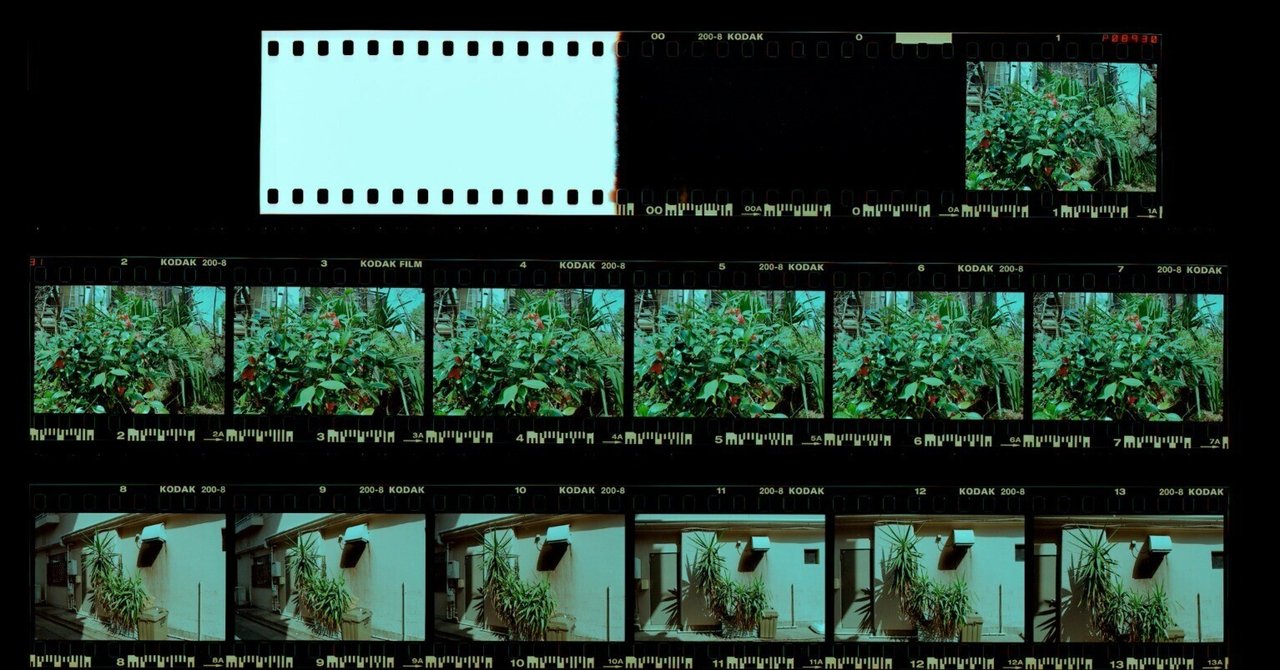 Nikon F100 ファーストロール|青木秀平 Nikon F100 ファーストロール|青木秀平
