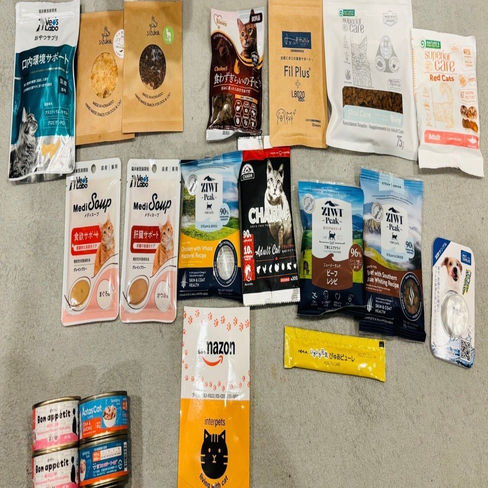 ネコ 速修インプット 2025 ネコ 速修インプット 2025 ネコ 速修インプット 2025 ネコ 速修