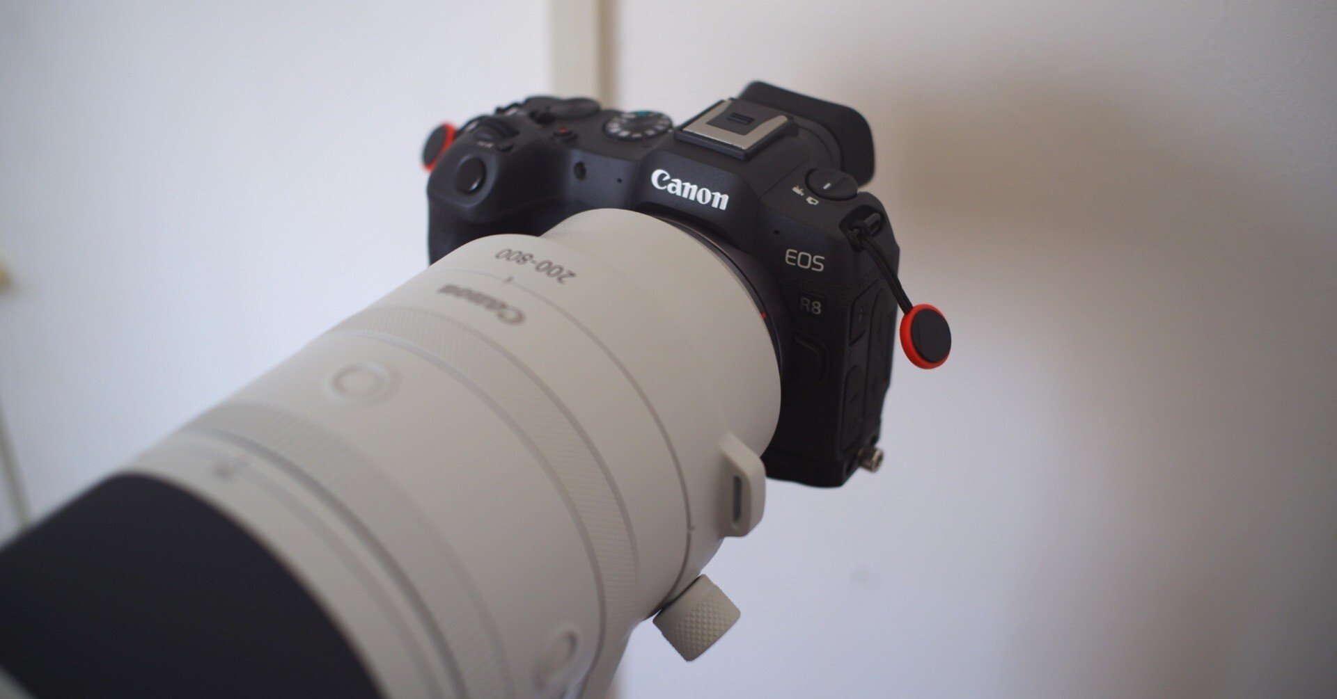 EOS R8とRF 200-800mmで野鳥撮影｜Channel Rihan