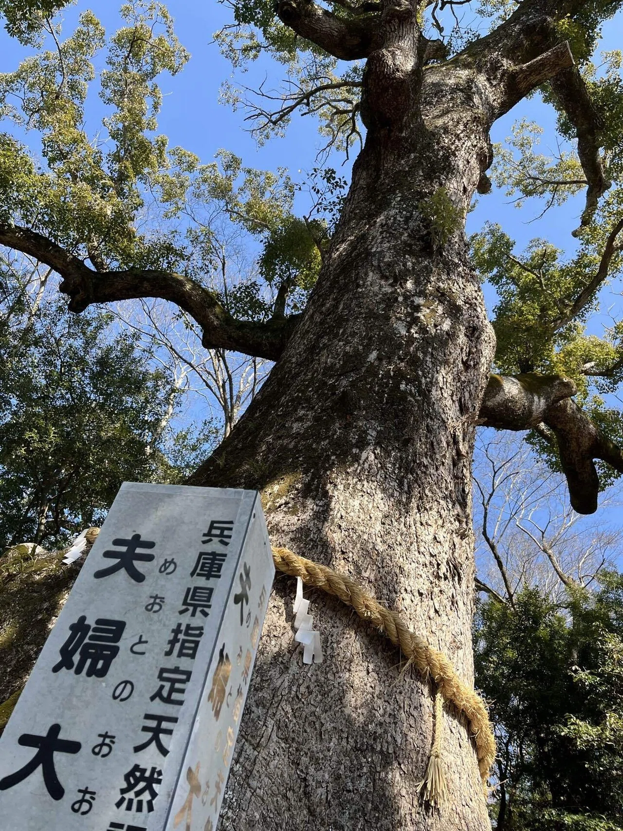 淡路島にある日本最古の神社 伊弉諾神宮と屹立する岩上神社の巨石