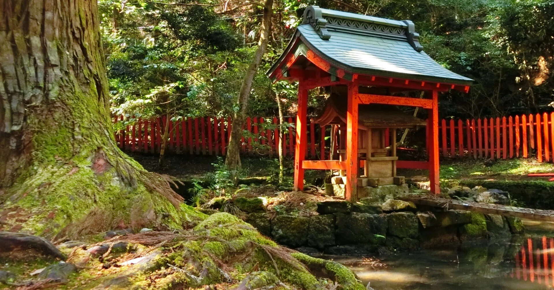 独特の雰囲気と苔「石山寺・八大龍王社」龍王たちが池の中から現れ和尚
