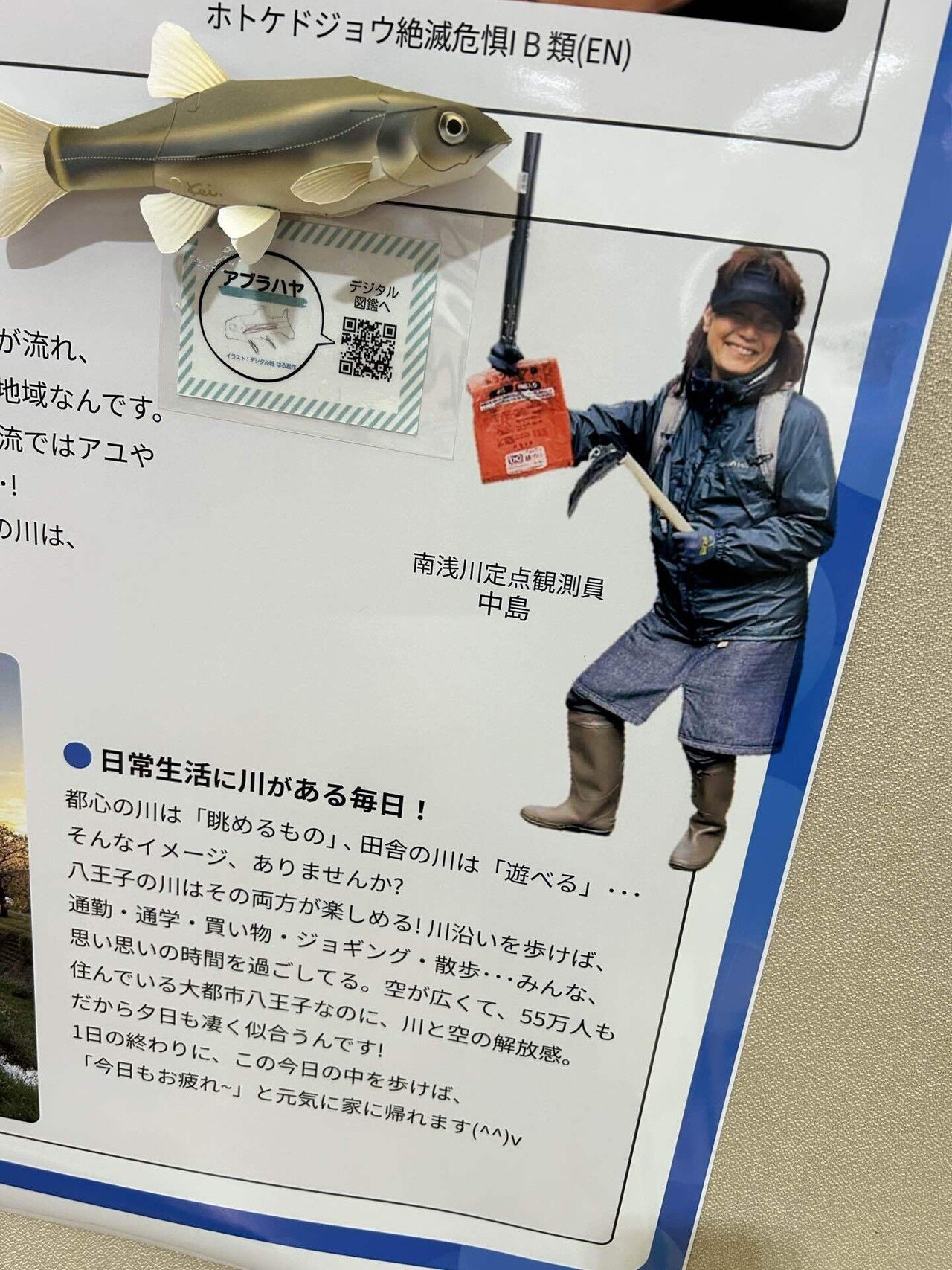 京都大学探検部：＂パタゴニア氷河紀行＂中島暢太郎探検隊長から頂いた貴重品 京都大学探検部：＂パタゴニア氷河紀行＂中島暢太郎探検隊長から
