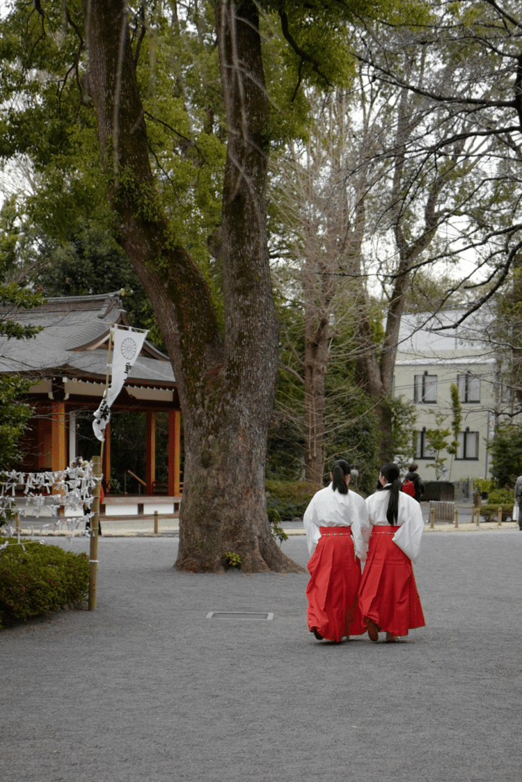 #写真　#巫女さんたち　#朱色　#leicaq #神社LOVE #1000日チャレンジ