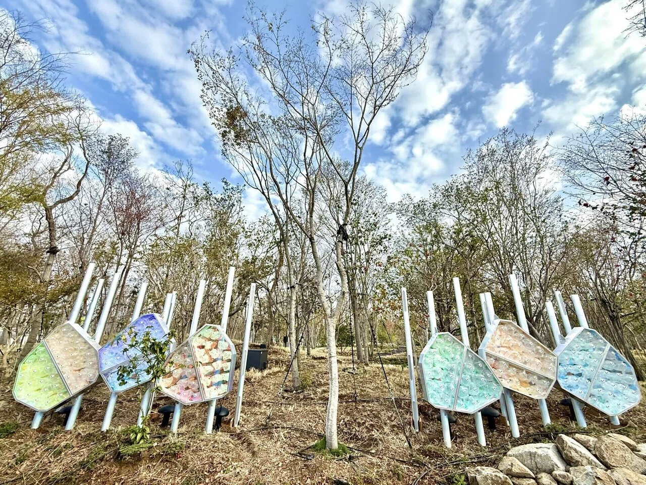 未来につながる森 [EXPO2025 静けさの森 アートプロジェクト]｜宮田裕章
