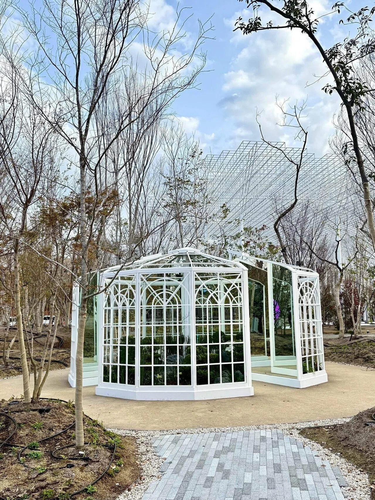 未来につながる森 [EXPO2025 静けさの森 アートプロジェクト]｜宮田裕章