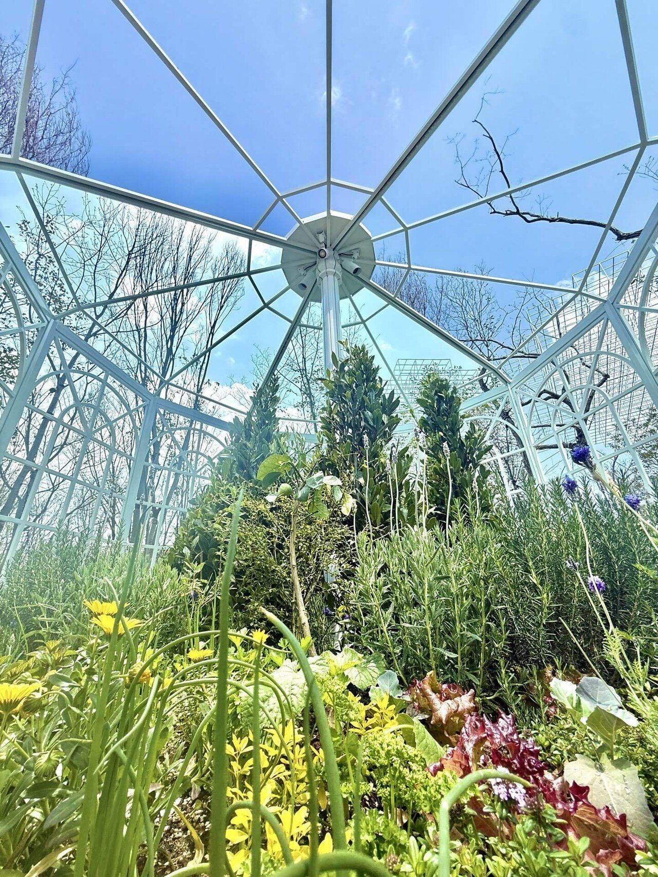 未来につながる森 [EXPO2025 静けさの森 アートプロジェクト]｜宮田裕章