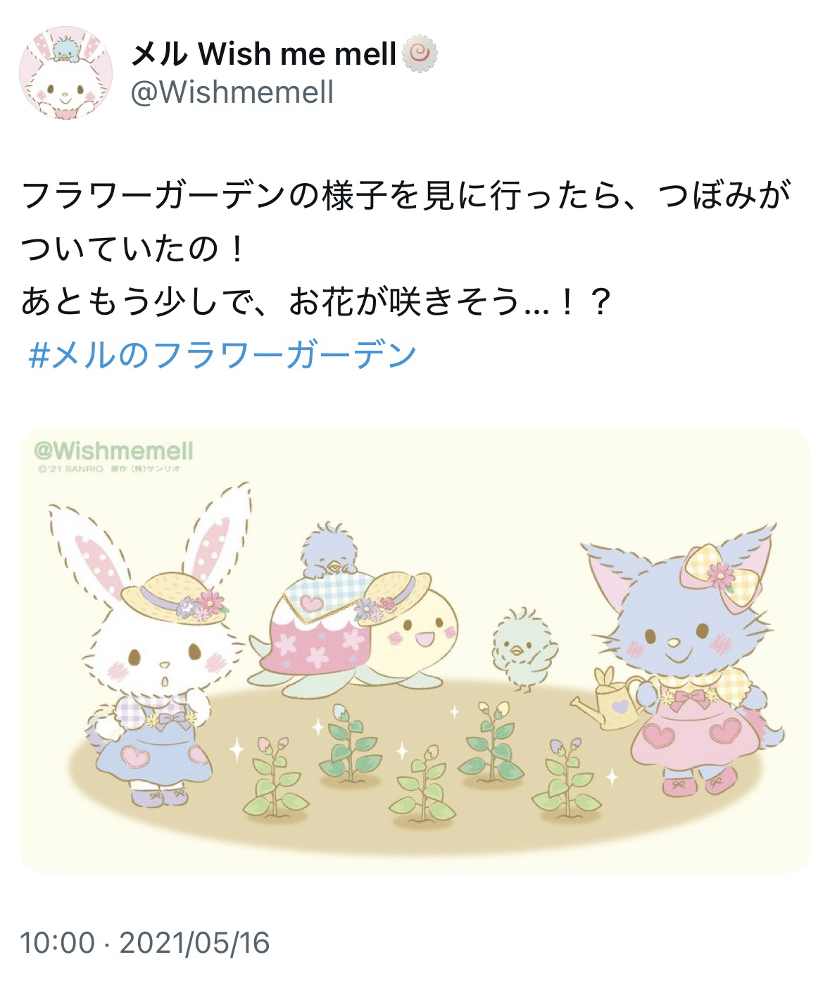 ウィッシュミーメルを徹底解説！ひきこもりだったウサギの女の子