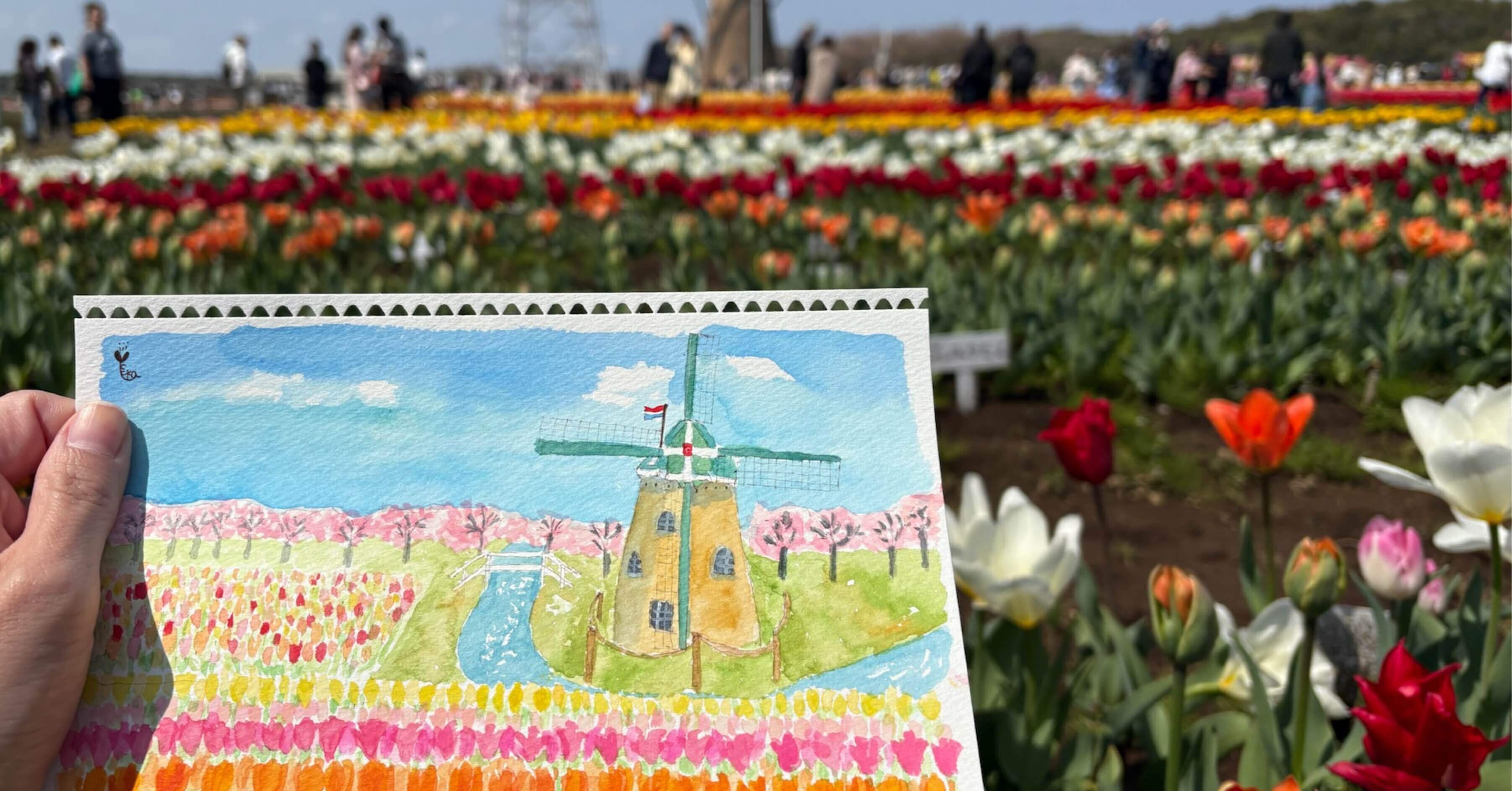 佐倉ふるさと広場のチューリップ畑をスケッチしました｜優風香(Yuuka)