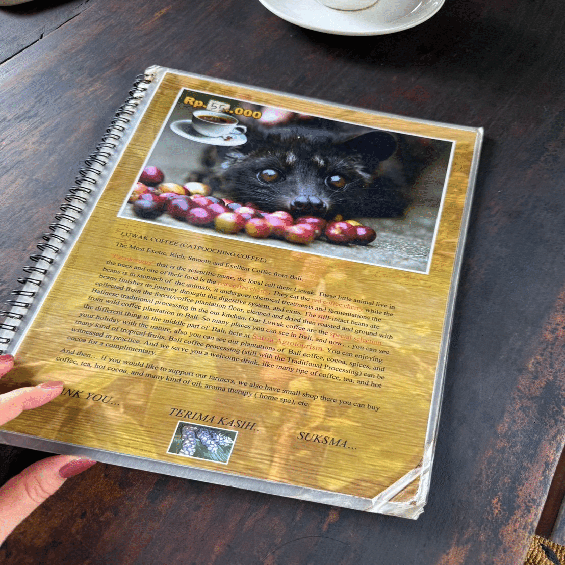 バリウインドサトヤのジャコウ猫コーヒー バリウインドサトヤの