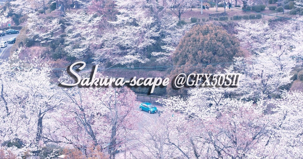 桜景 @GFX50SII|れーずん 桜景 @GFX50SII|れーずん