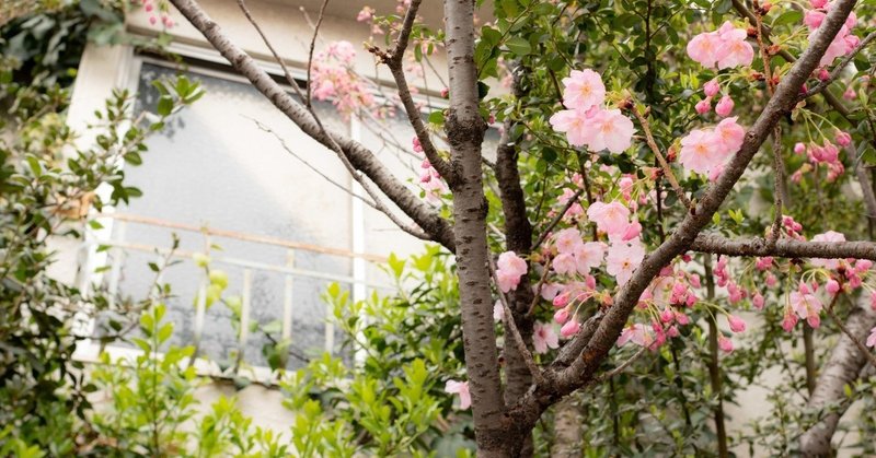 まちカドまぞくの千代田桜とばんだ荘について Ast Note