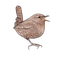 ソーダ